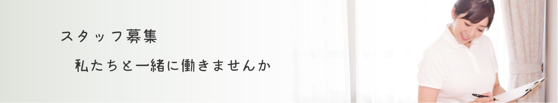 採用案内